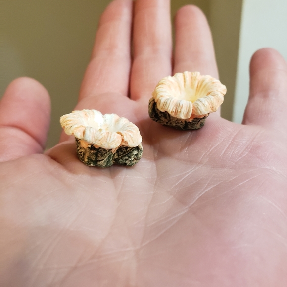 Hummingbird Tea Set - Picture 7 of 9